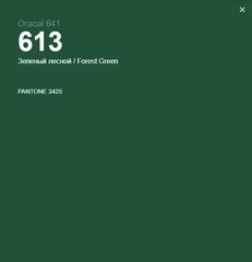 Пленка оракал Oracal 641 (100*100см) зелёный лесной (613)