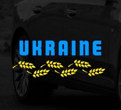 Наклейка Ukraine 25*12см