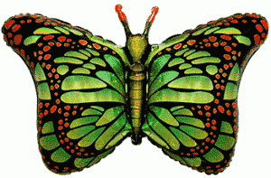Фольгированный шар Flexmetal Большая фигура Бабочка Зеленая