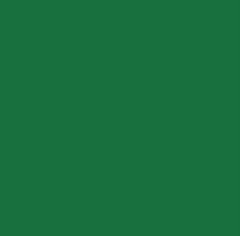 Термотрансферна плівка Siser Handyflex A0009 Green (50*100см)