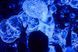 Компонент для неонового шоу мыльных пузырей "BIG BUBBLES CHEMICAL" Ultraviolet
